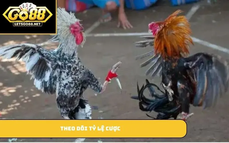 Theo dõi tỷ lệ cược